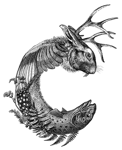 CLAN-Symbole-C-Transparent